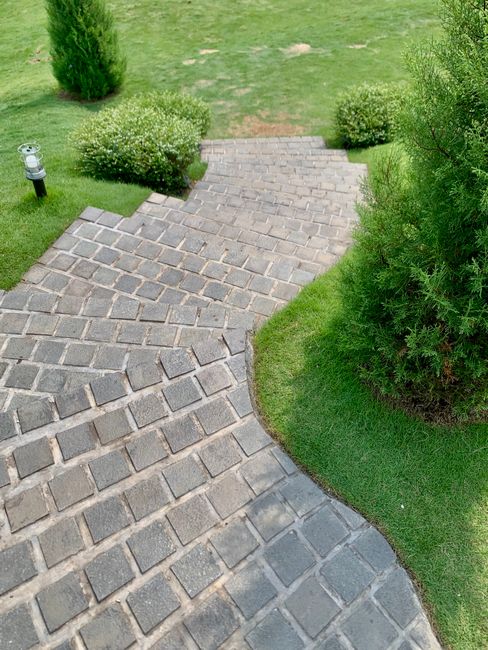 Charming brick footpath surrounded by green foliage. Perfect for serene garden settings.